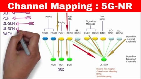 chanel transport|5g logical channels.